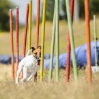Dog sports Olga Khazai photography: dog agility. Аджилити, фотограф Ольга Хазай.